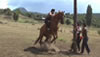 Rodeo at the Mapuche Trabunco Community