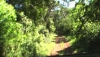 La selva misionera