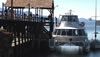 Catamaran tour to Bosque Arrayanes