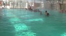 Federaci�n Hot Springs