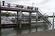 Muelle en el R�o Negro - Foto: Cristina Sabaliauskas - Welcomeargentina.com