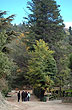 Paisaje de La Cumbrecita - Photo: Pablo Etchevers