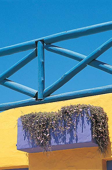 Contrastes marinos - Autor: Secretar�a de Turismo y Cultura de Villa Gesell