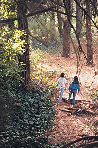 Jugando entre el monte - Author: Secretar�a de Turismo y Cultura de Villa Gesell