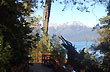 Paseo al bosque de Arrayanes - Foto: Cristina Sabaliauskas - Welcomeargentina.com