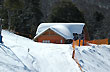 Silla del bosque - Foto: Jorge Gonz�lez