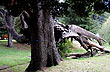 La Naturaleza... - Foto: Eduardo Epifanio