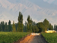 Bodega Familia Zuccardi