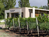 Algodon Wine Estates