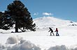 Parque de nieve, Primeros Pinos - Foto: Eduardo Epifanio