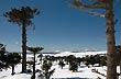 1.810 m. sobre el nivel del mar, Primeros Pinos - Photo: Eduardo Epifanio