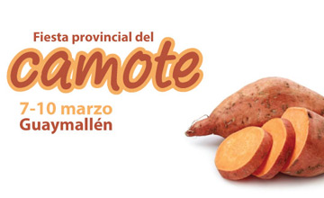 Festival del Camote 2013