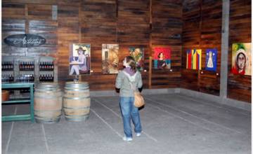 Otoño en Mendoza: el Vino como más te guste.