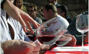 Música y Vino: La Vida es bella