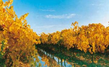 Nuevo portal de turismo en Mendoza