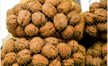 ¿A qué te suena Tupungato?