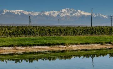 Disfrutá el Valle de Uco. Conocé Tupungato