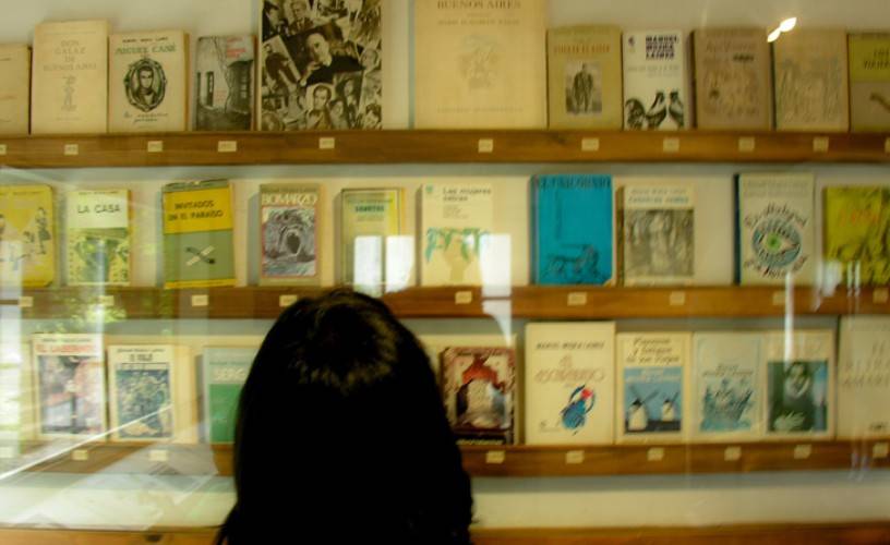 Los libros de Manuel Mujica Láinez