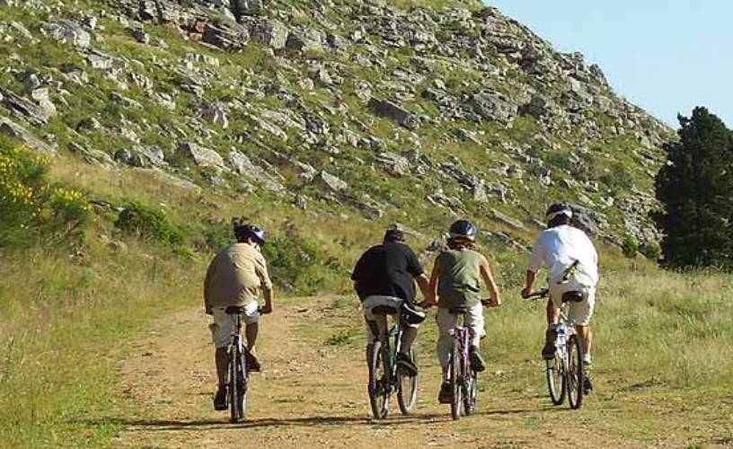 A lo largo de la ciudad, hay actividades para todos los gustos. 