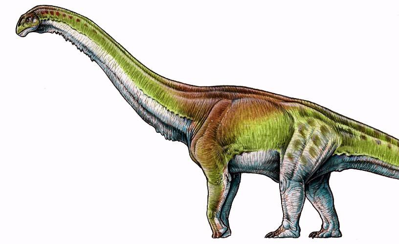 Encontraron al Patagotitan, el dinosaurio más grande del mundo....y es  argentino