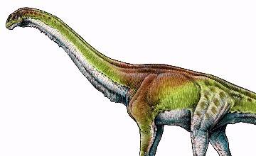 Encontraron al Patagotitan, el dinosaurio más grande del mundo....y es argentino