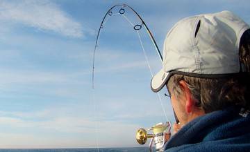 Mar del Plata lo tiene todo. Un día de pesca en alta mar...