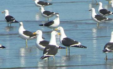Era un pueblo con mar....