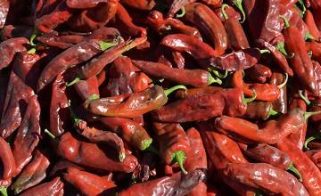 Cachi será uno de los destinos fuertes de Salta para este invierno