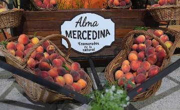 Fiesta Nacional del Durazno 2019