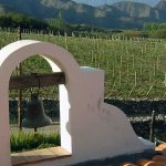 Los tintos de Yacochuya