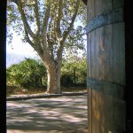 Vi�edos de Yacochuya