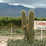 Tierras del torront�s