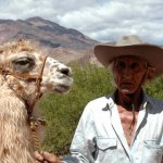 Compa�eros de imagen