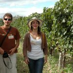 Paseo por los vi�edos y bodegas