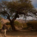 Ruinas del Divisadero