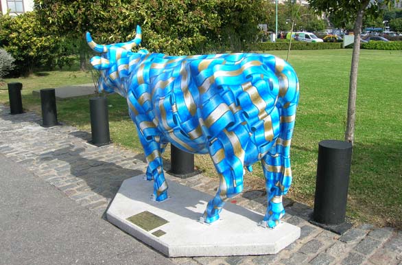 Argentinian cow