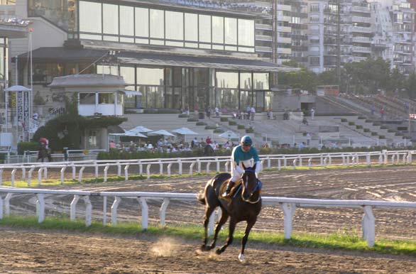 Argentinian horse race track at Palermo
