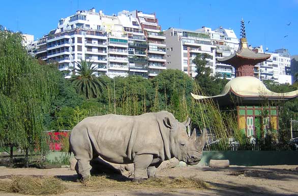 Zoologico de Buenos Aires
