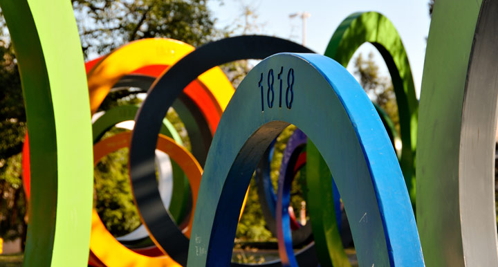 Colorido circular, Paseo del Bicentenario