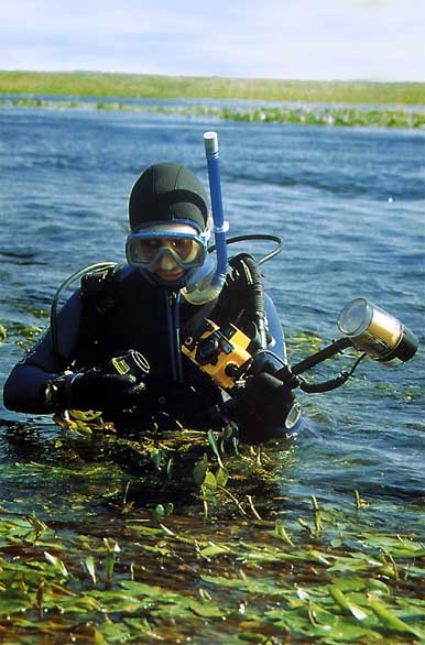 SCUBA diving in the marshlands
