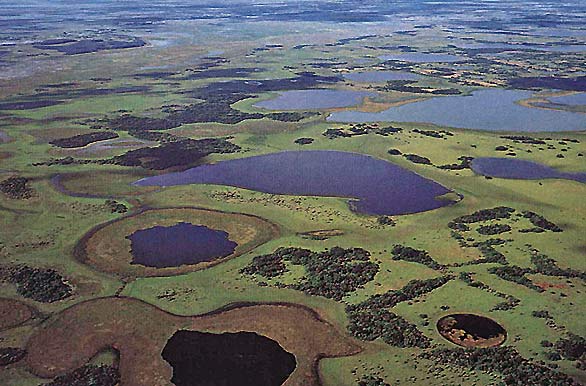 An ample view of the Iberá Marshlands
