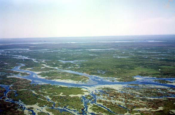 Air view of the lakes and marshlands