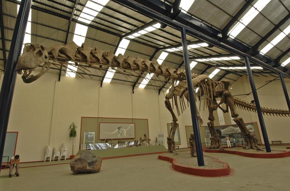 Argentinosaurus, the largest one