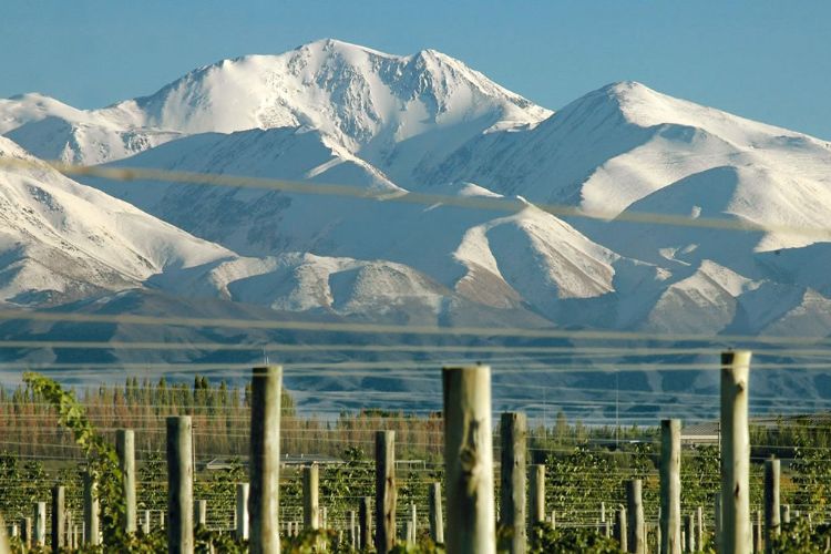 Mendoza