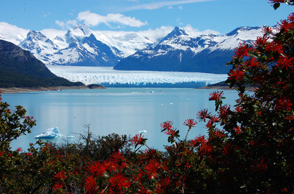 Perito Moreno Glacier