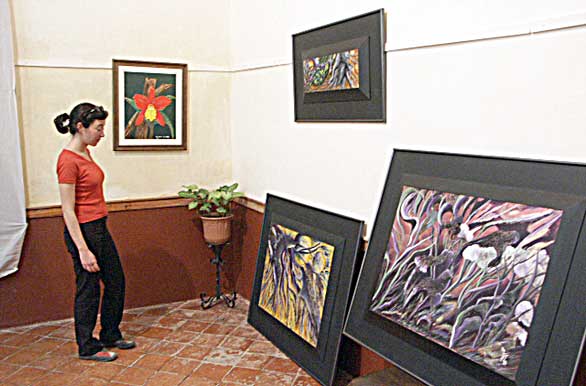 Muestra de pintura en la Casa de la Cultura