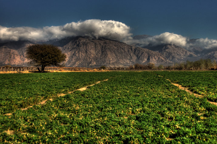 Los suelos del Valle de Cafayate, Salta - Autor: Eduardo Epifanio