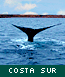 Costa Patagónica