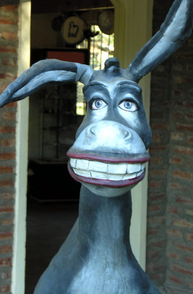 Little donkey from Córdoba