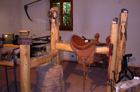 Elementos tradicionales en el Museo - Malargüe